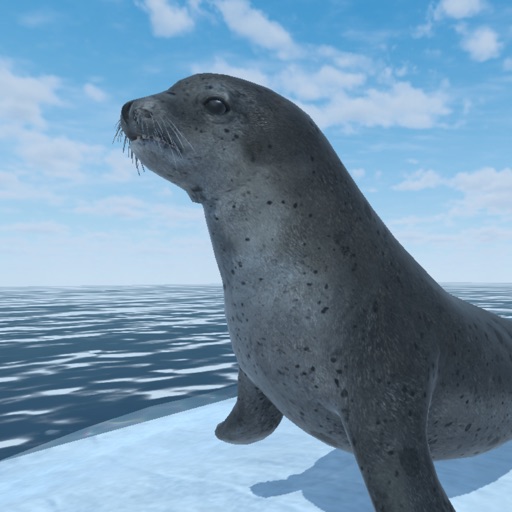Seal M SEA